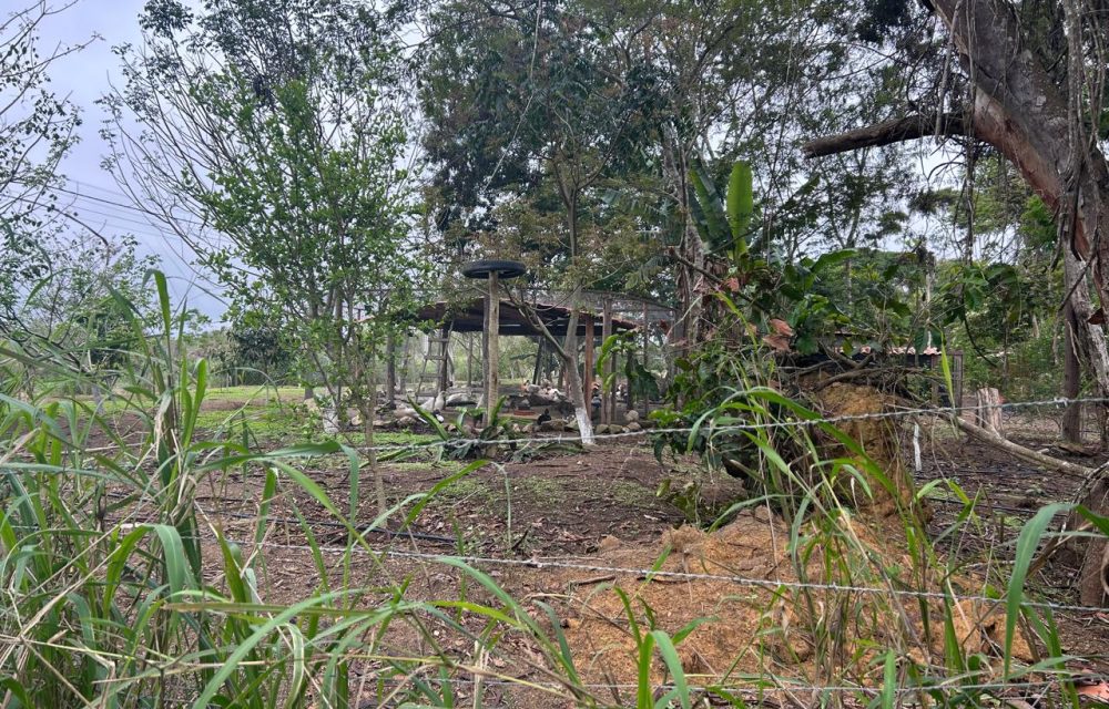 WhatsApp Image 2025-11-17 at 14.05.39 (1)