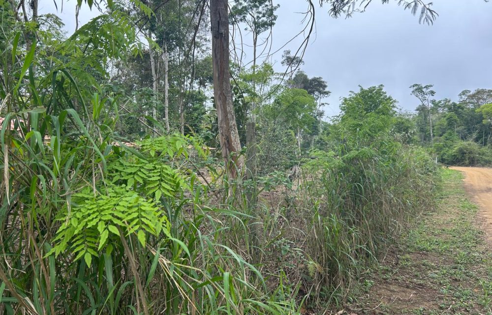 WhatsApp Image 2025-11-17 at 14.05.39 (2)