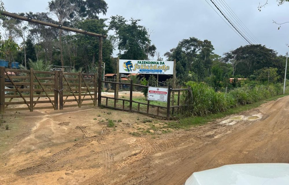 WhatsApp Image 2025-11-17 at 14.05.39