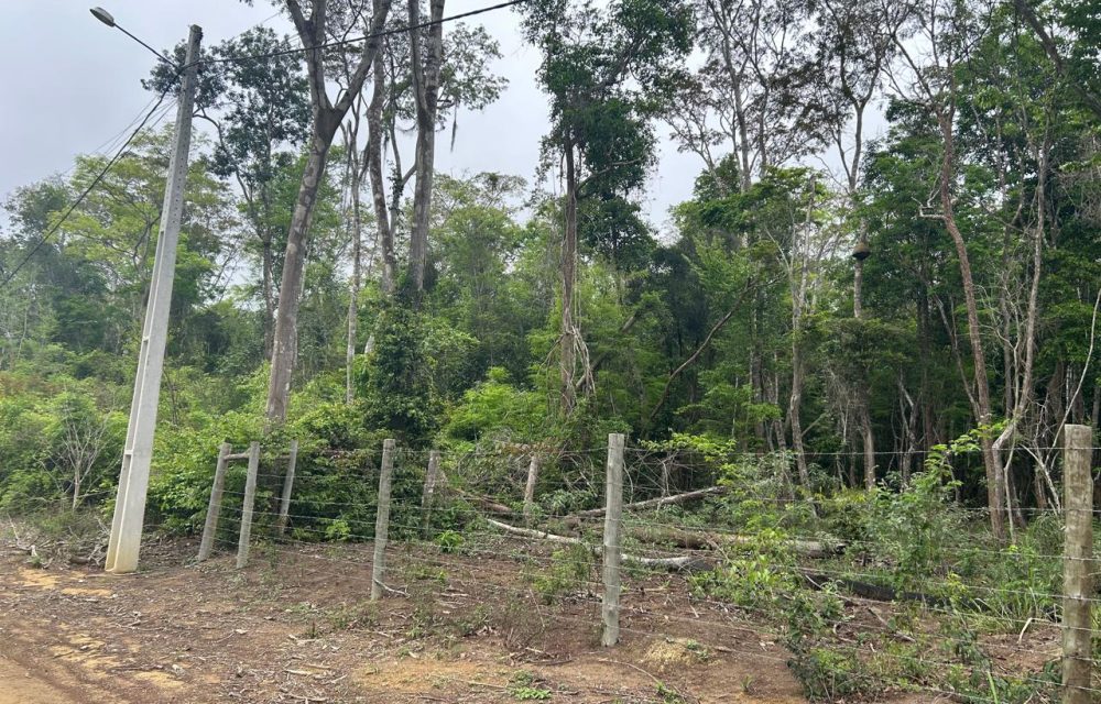 WhatsApp Image 2025-11-17 at 14.05.40 (1)