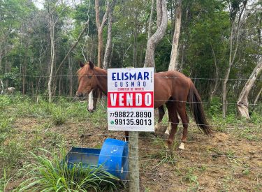 WhatsApp Image 2025-11-17 at 14.05.40