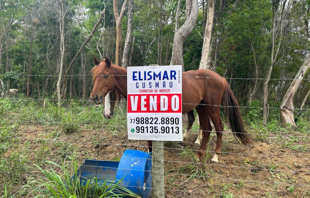 WhatsApp Image 2025-11-17 at 14.05.40