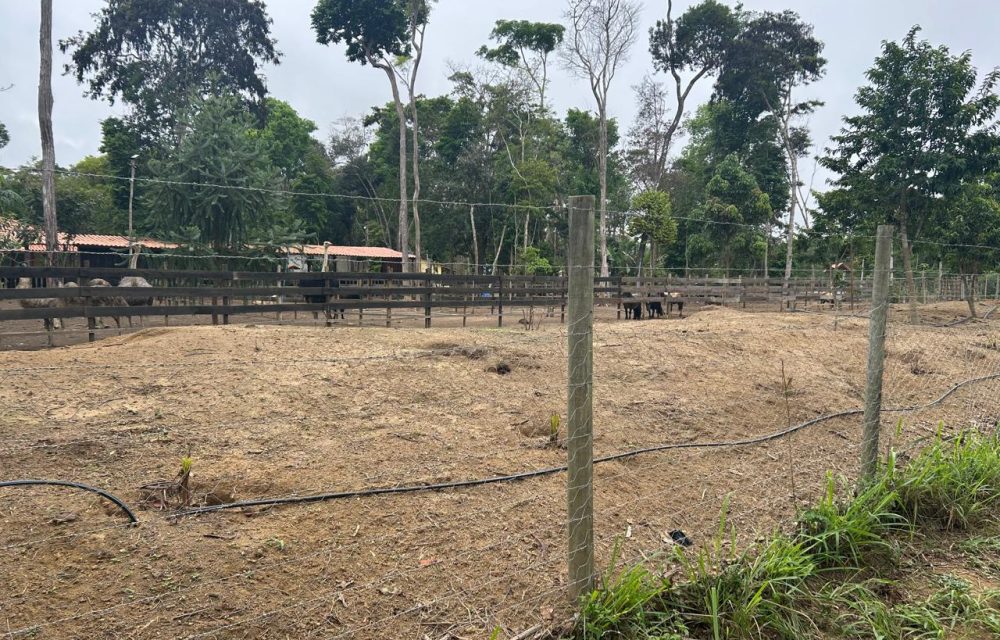 WhatsApp Image 2025-11-17 at 14.05.41 (1)