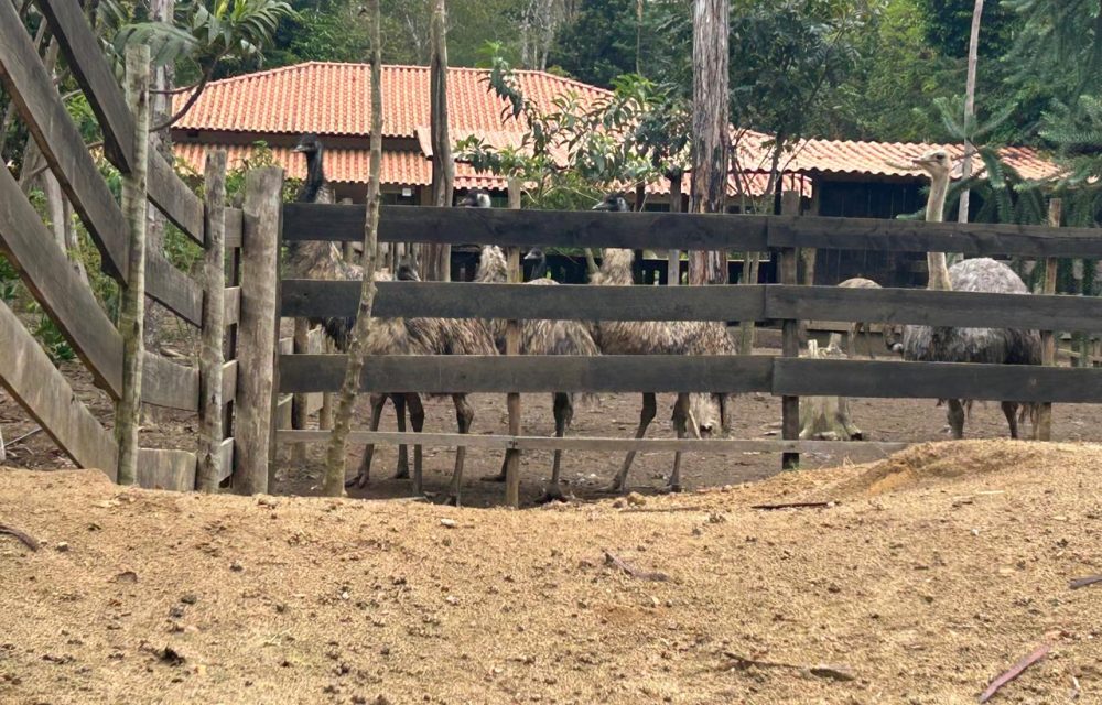 WhatsApp Image 2025-11-17 at 14.05.41 (2)