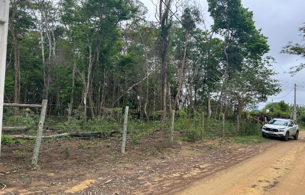 WhatsApp Image 2025-11-17 at 14.05.41